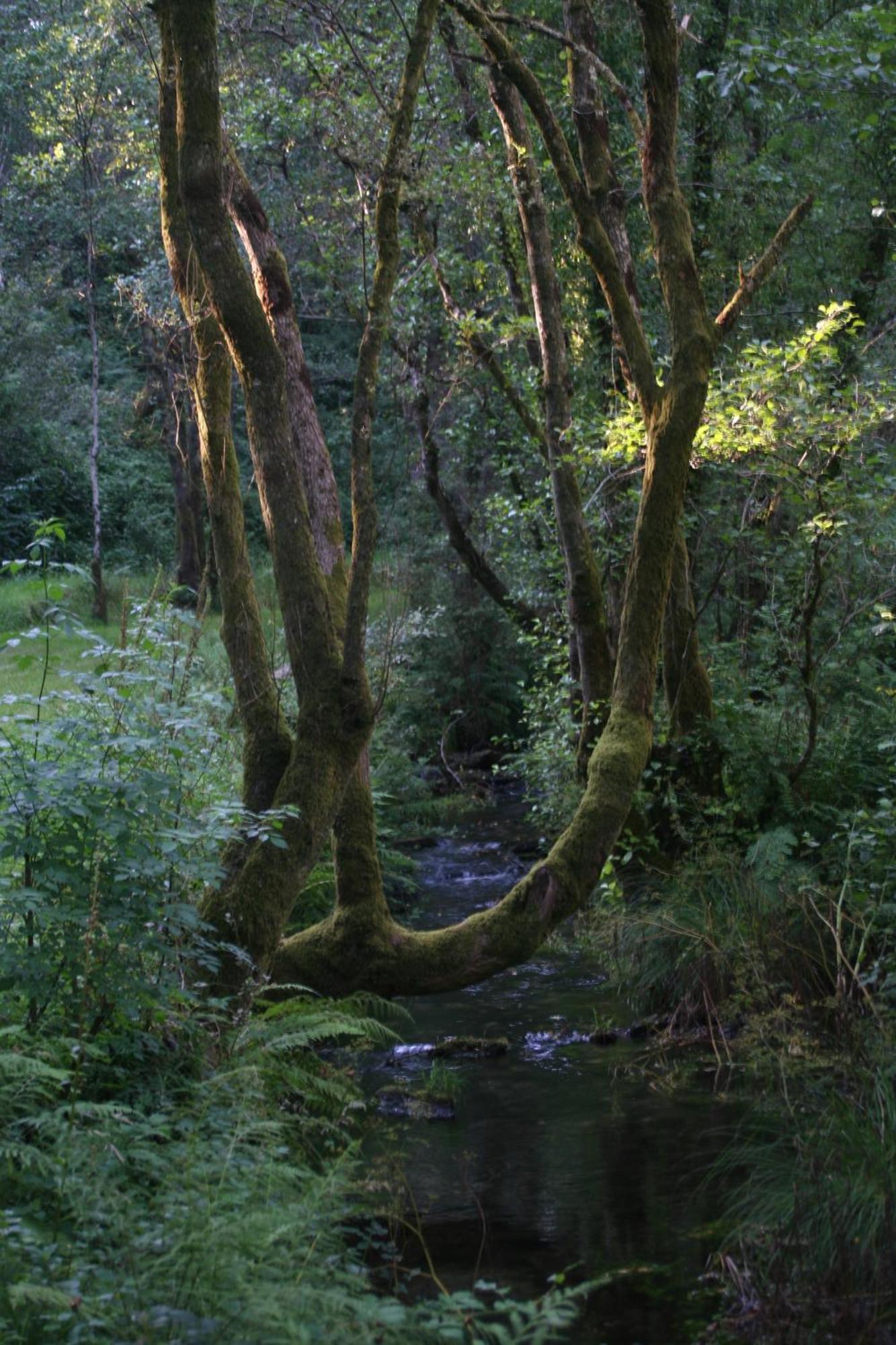 Completa Rio Sarela Séjour à la campagne *